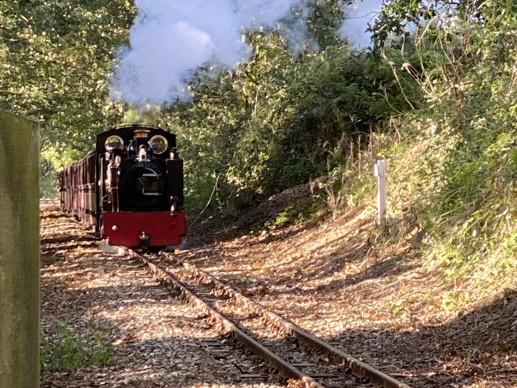 Marriott's Way and Bure Valley Path Loop