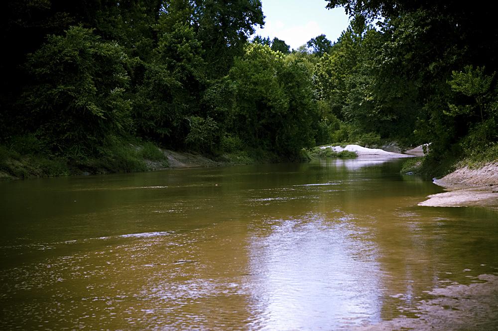 A murky river flows through a dense, dark green forest.