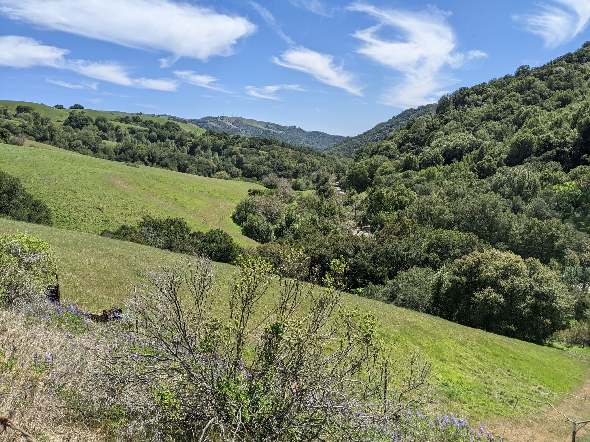 Lush green rolling hills and a valley under a bright blue sky. - Garin Regional Park loop