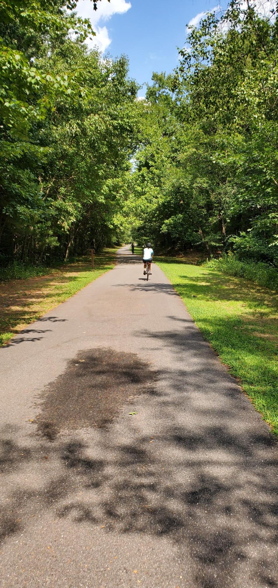 Person cycling on a sunlit paved path lined with green trees.