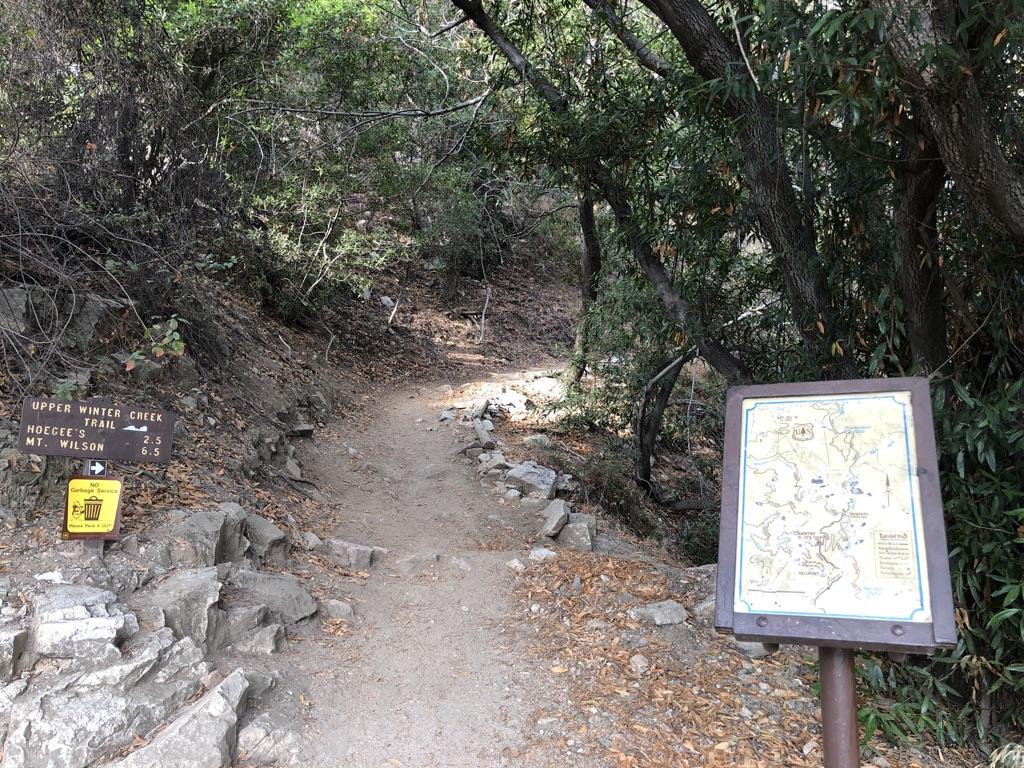 A dirt trail entrance with informational signs under dappled forest light.