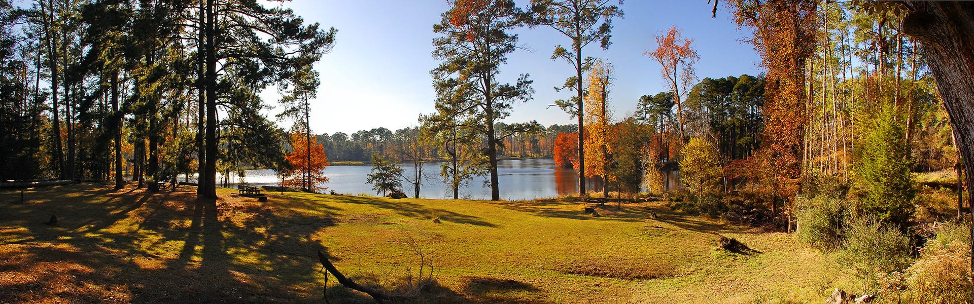 Panoramic view of a lake surrounded by autumn trees and a grassy clearing.