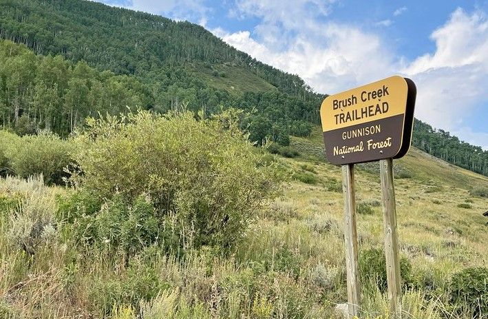 Trailhead sign in a brushy area with a green, forested hillside. - East River Trail