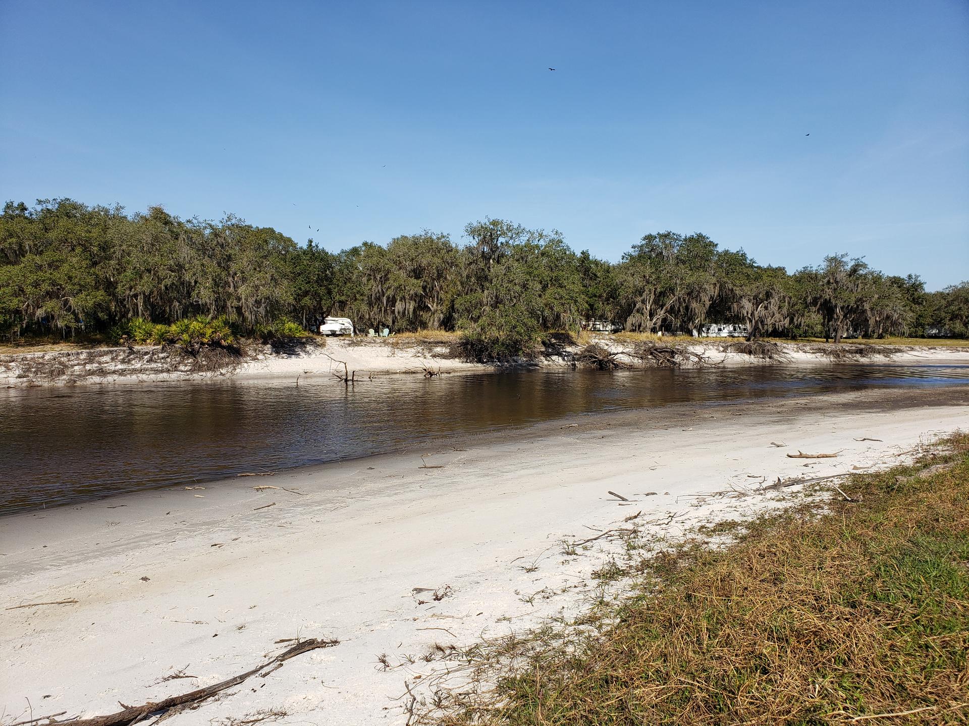River with sandy bank, mossy trees, and clear blue sky.
