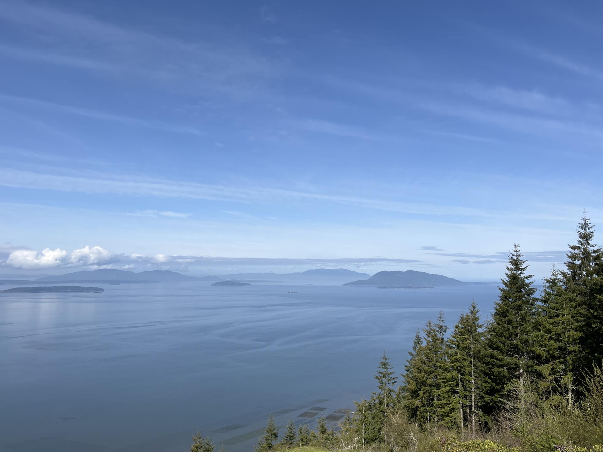 Expansive blue ocean with distant islands and evergreen trees under clear sky.