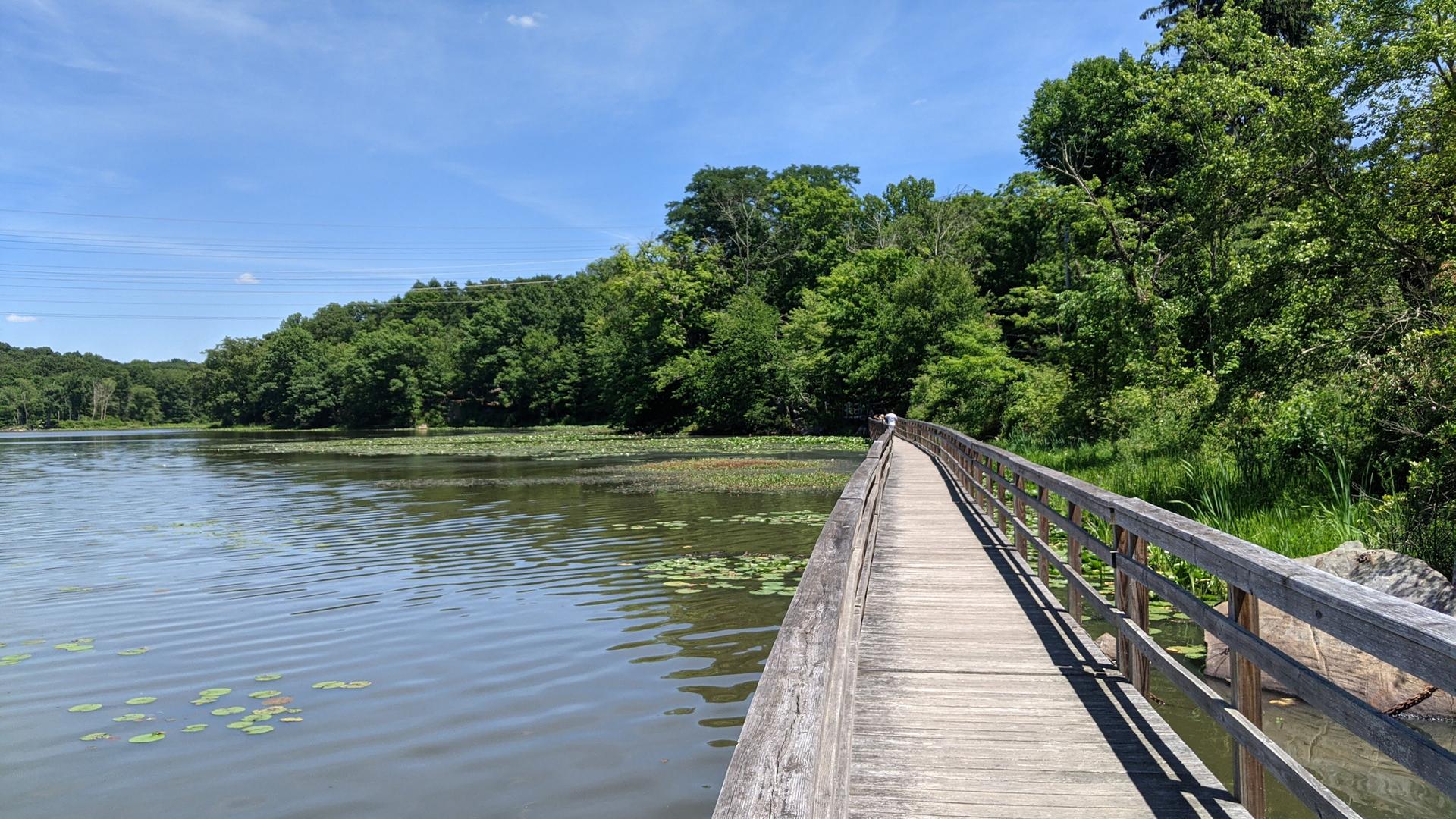 Long wooden boardwalk extends over a lake with green trees, sunny day.