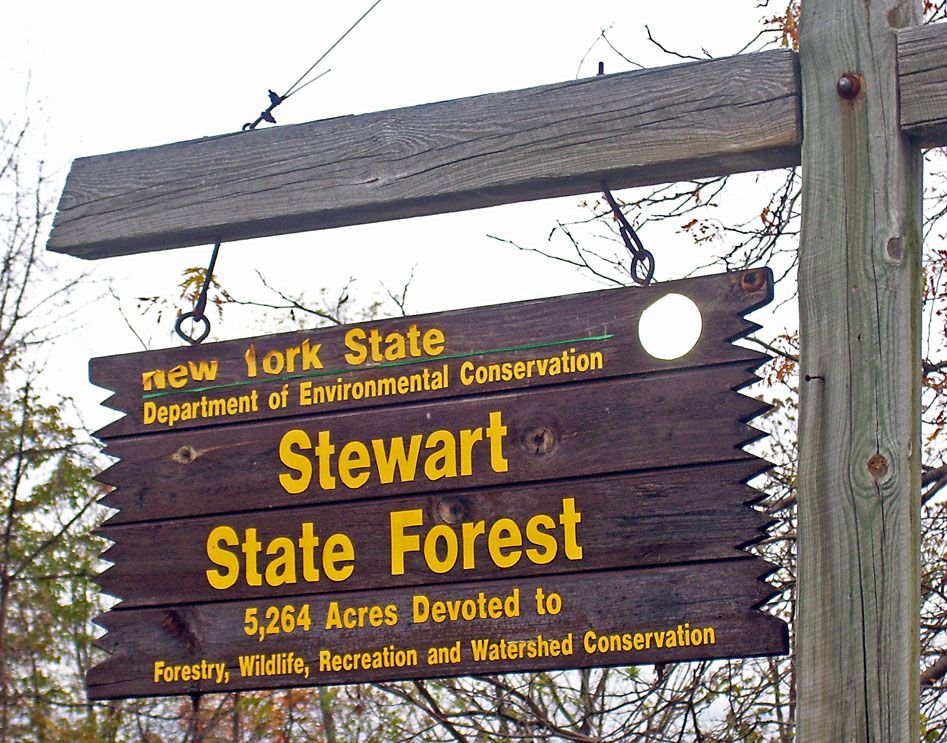 Rustic wooden sign with yellow text, hanging from a wooden post outdoors. - Flowy Loop
