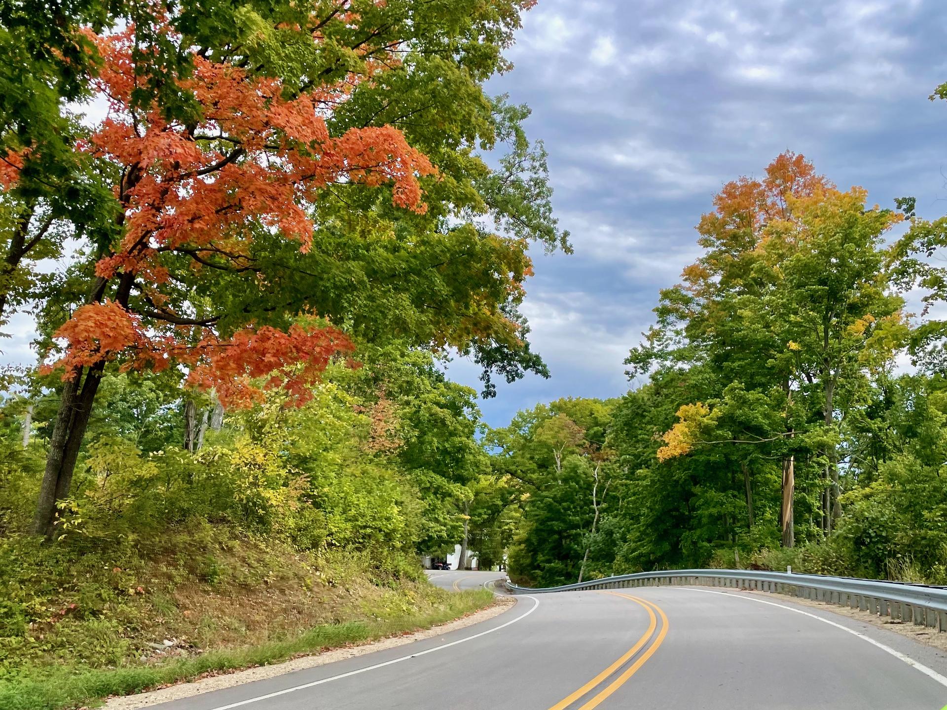 Winding road through a forest with vibrant orange and green autumn foliage.
