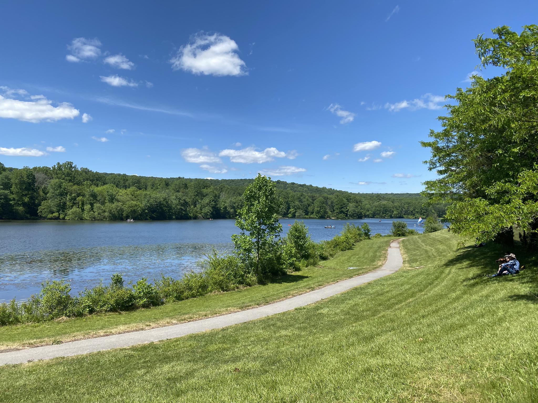Paved path beside a lake with a person sitting under a tree.