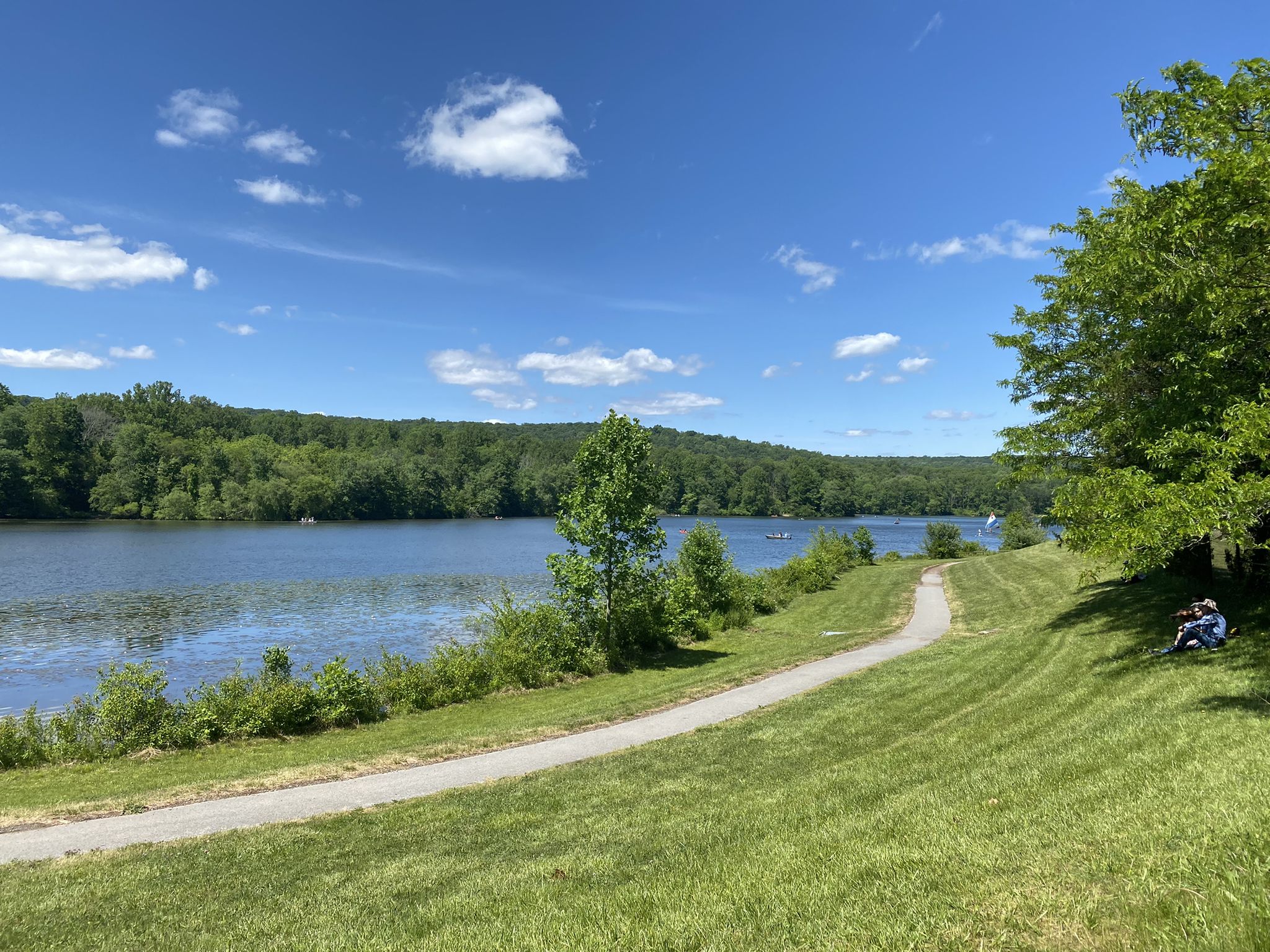 Paved path beside a lake with a person sitting under a tree. - Boone Trail
