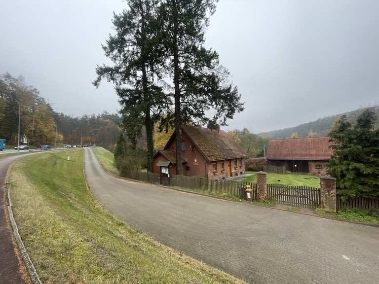 Szkoła Podstawowa Nr 50 Gdańsk Opinie Leśniczówka Rynarzewo: Mountainbike-Touren und -Trails | komoot