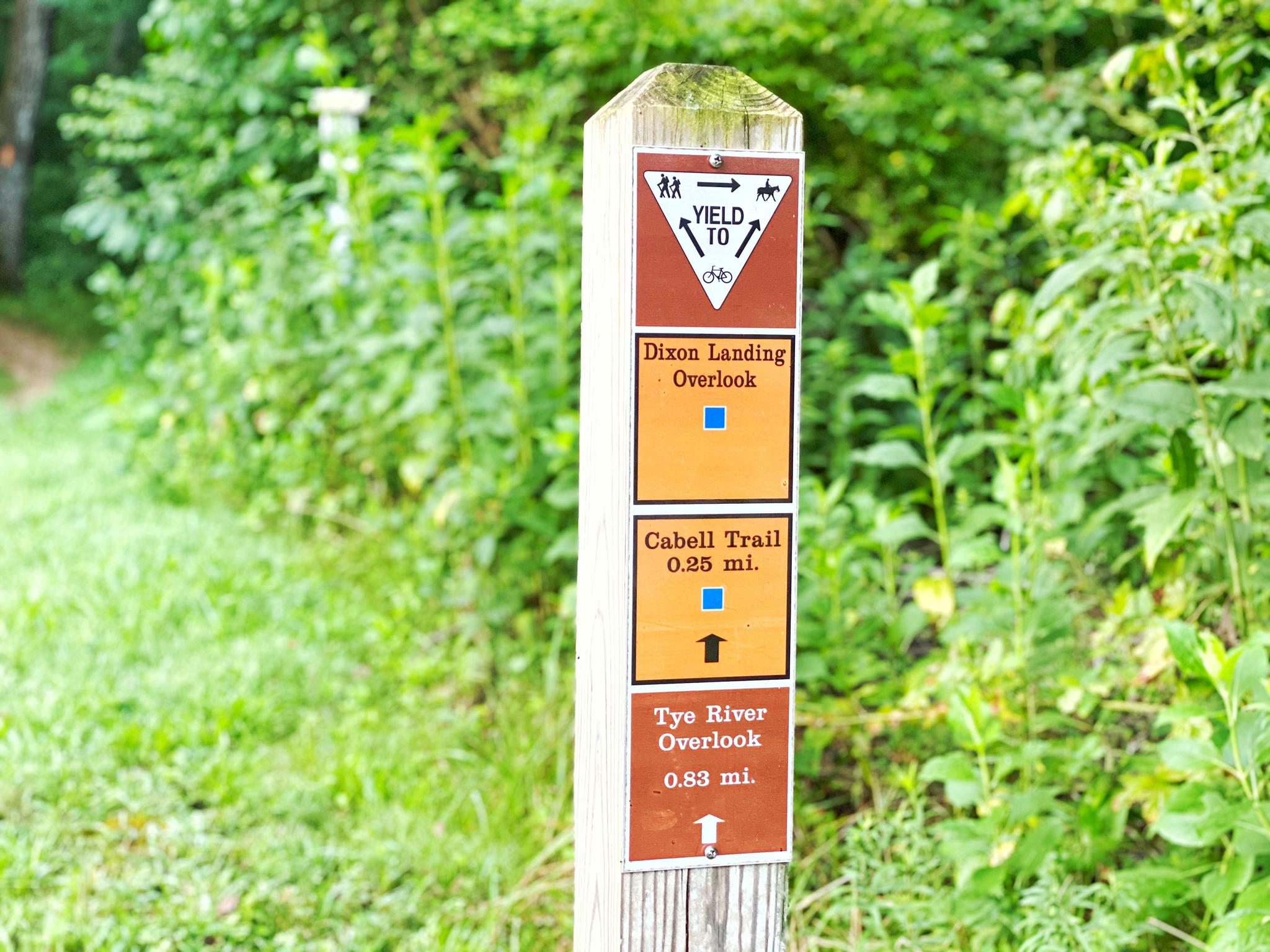 A wooden trail marker post with directions in a green, leafy environment.