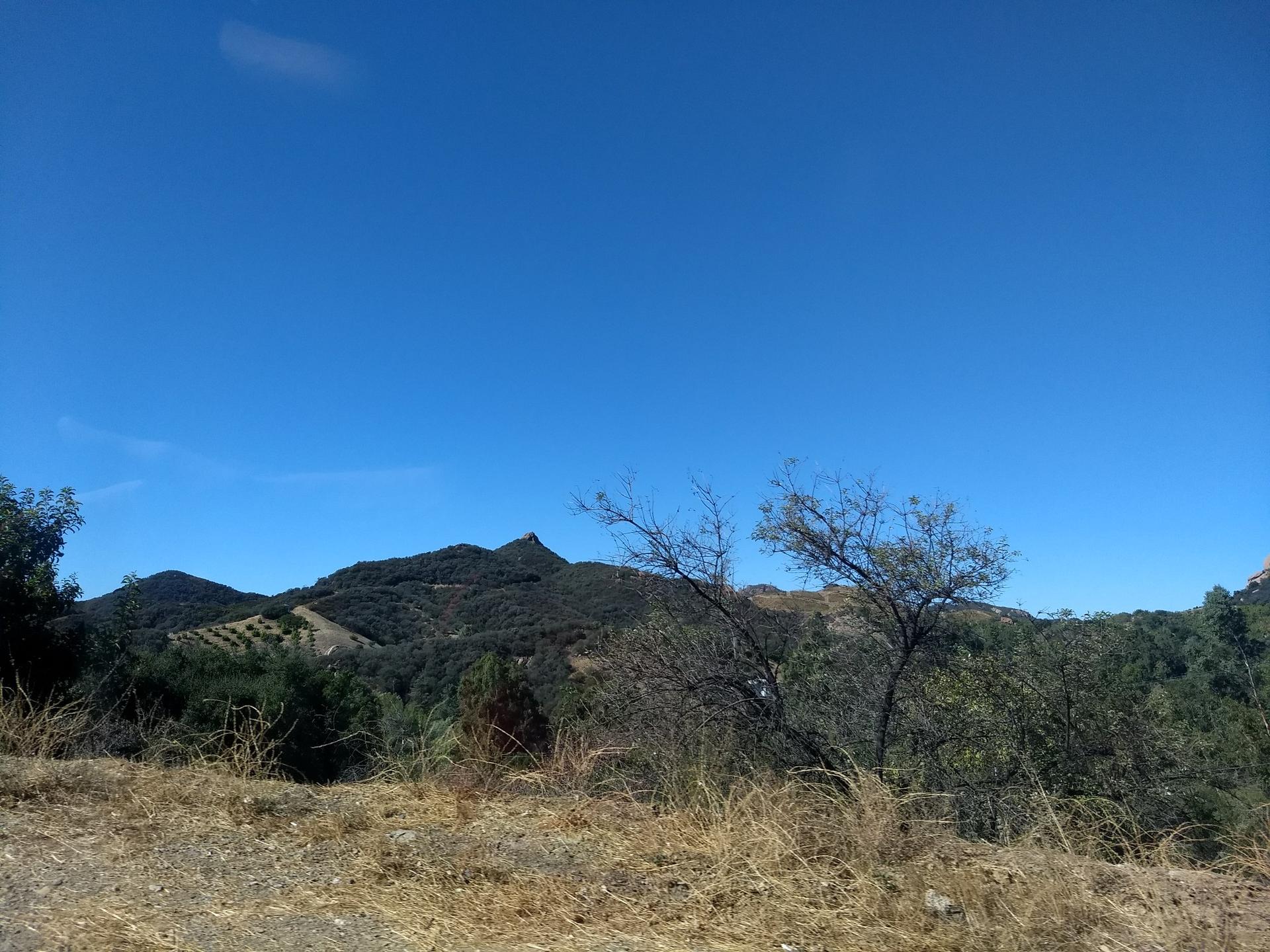 Sunny view of rolling hills covered in green trees and dry brush.