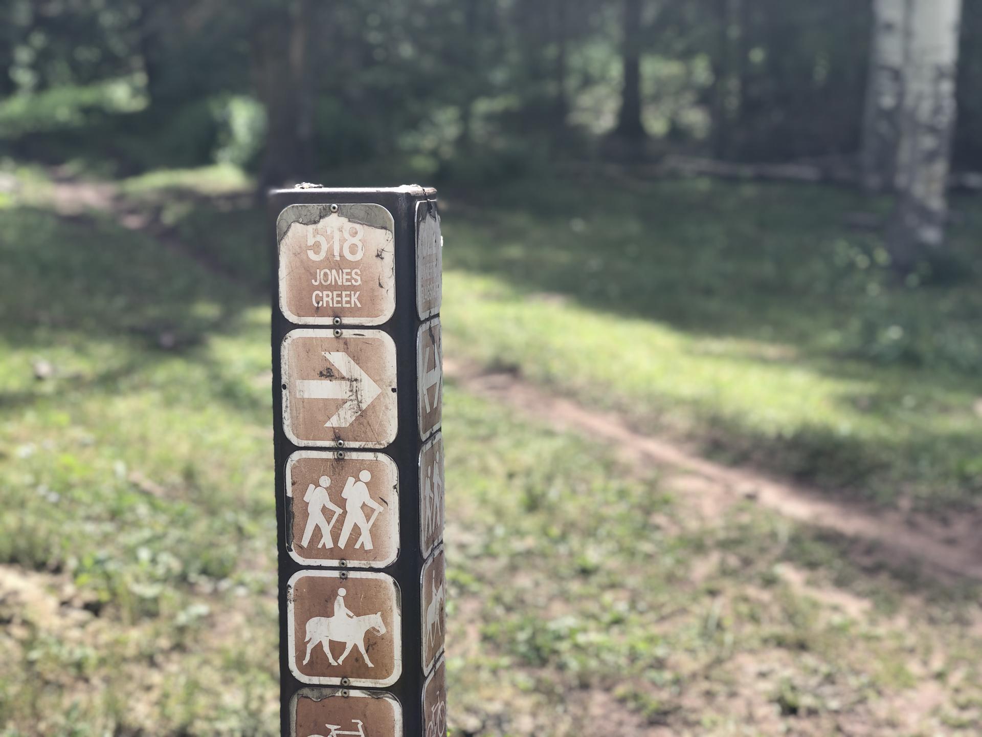 Trail marker post with activity symbols next to a dirt path in a sunny forest.