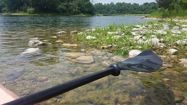 Black paddle in clear, shallow water near a rocky shore on a sunny day. - Prairie Trail: Crystal Lake Section