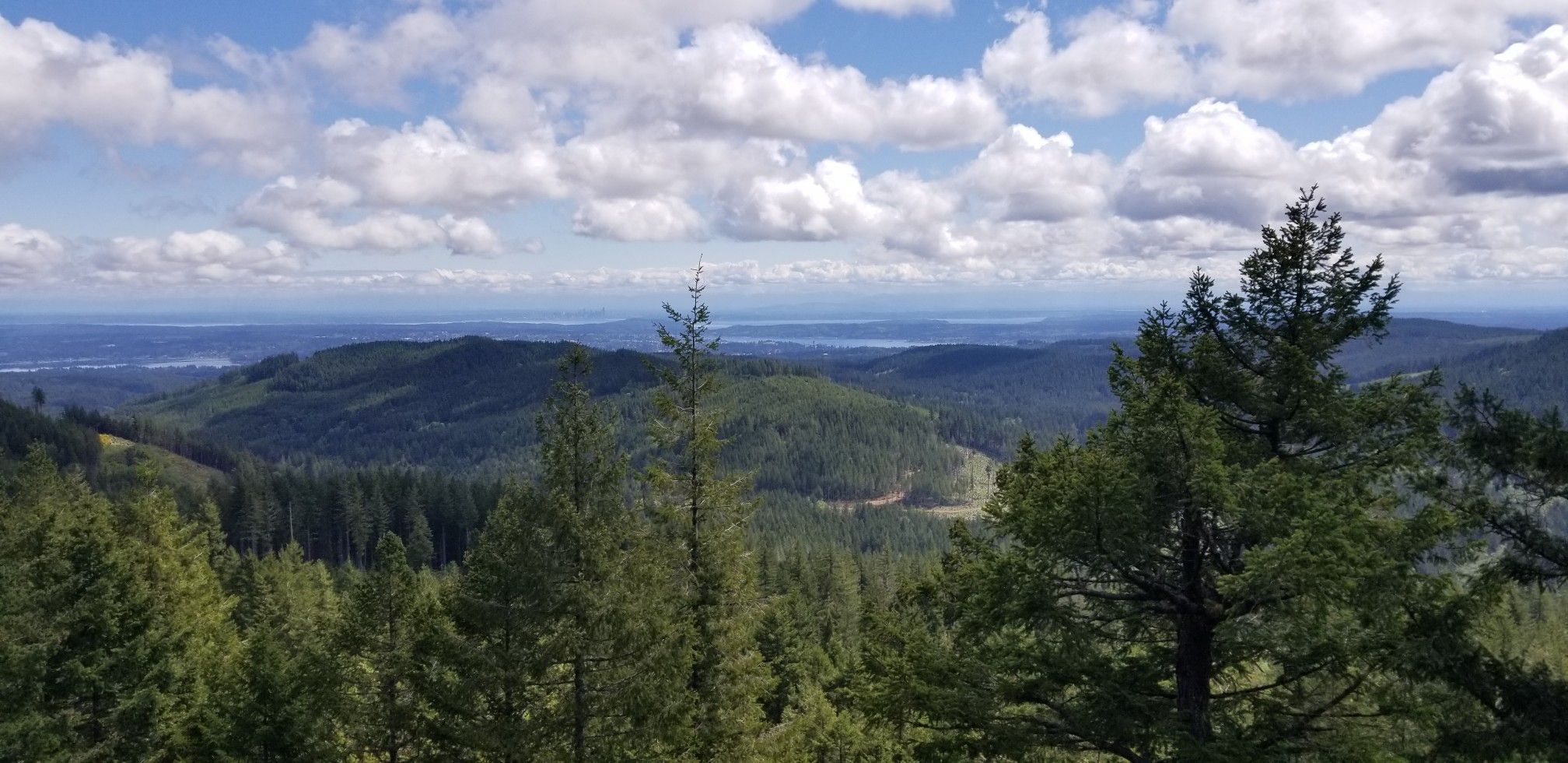 Panoramic view of rolling green forested hills under a cloudy blue sky. - Running loop from Kitsap Peninsula