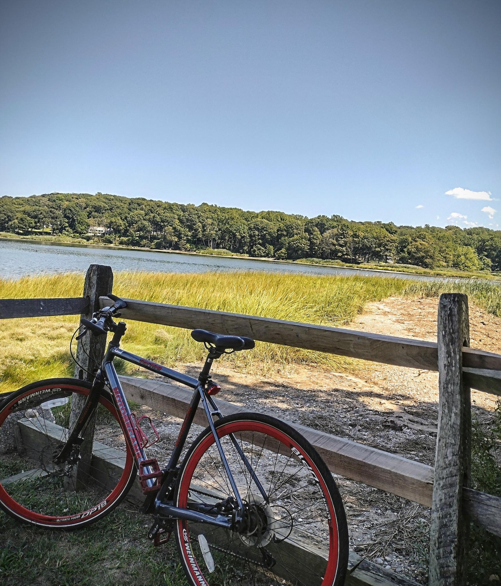 Bicycle leaning on a wooden fence overlooking a sunny marsh and water.