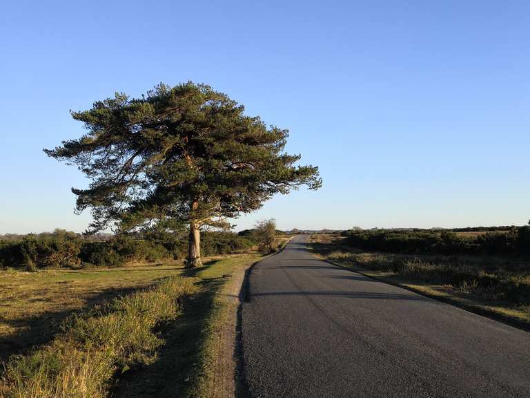 Brockenhurst loop — New Forest National Park mountain bike ride Komoot