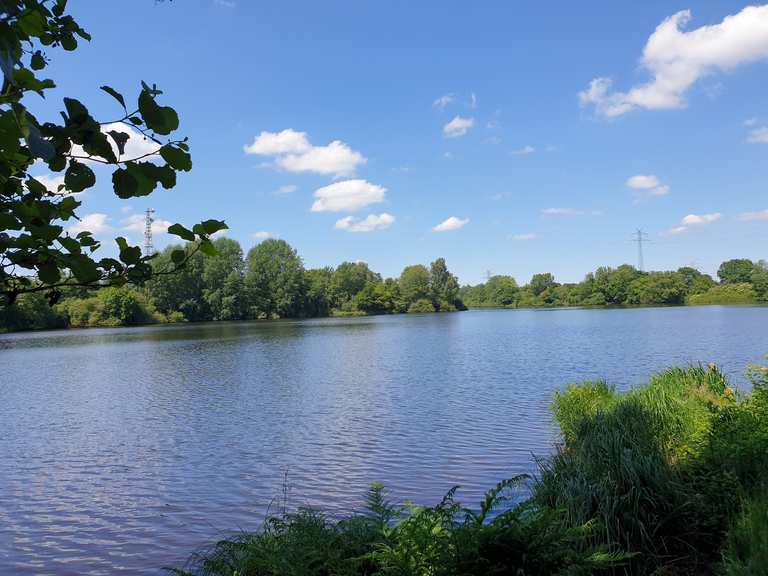 Drielaker See Wanderungen und Rundwege komoot