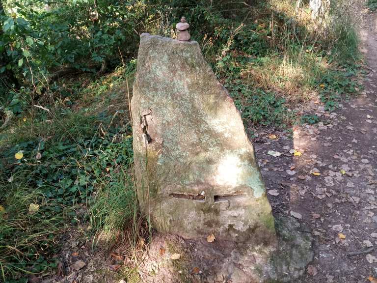 Landesgrenze Thüringen/SachsenAnhalt Wanderungen und Rundwege komoot