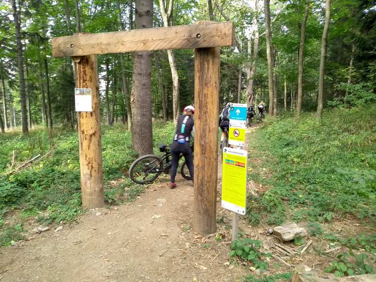 Esterházy Trail Mountain Bike Trails & Tracks Komoot