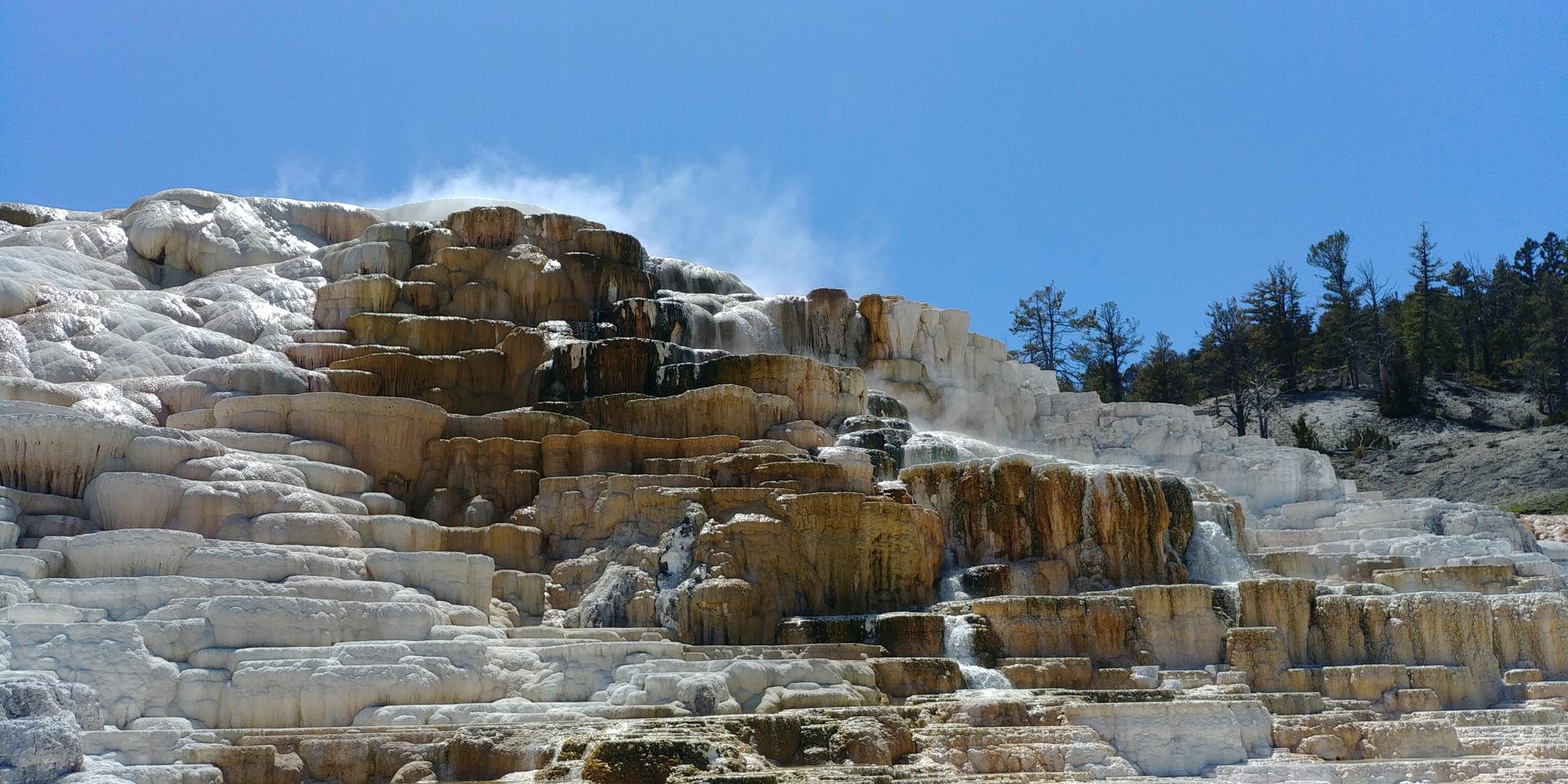 Steaming, multi-tiered mineral terraces with flowing water under a clear sky.