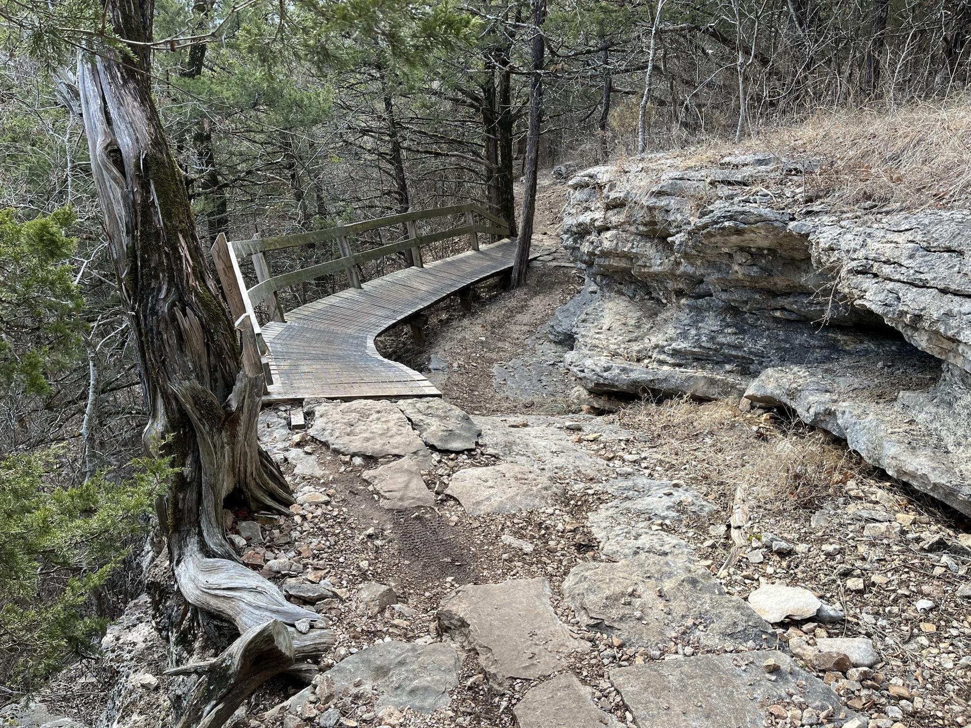 A wooden boardwalk path curves around a large rock and tree in a forest.