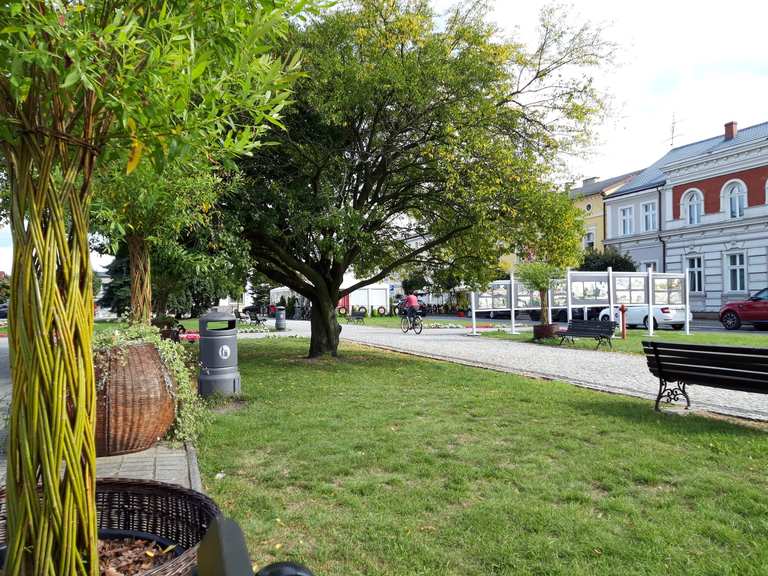 World's biggest wicker basket Radtouren und Radwege komoot
