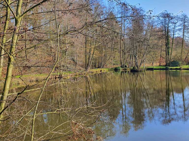 Teiche am Brachter Bach Wanderungen und Rundwege komoot