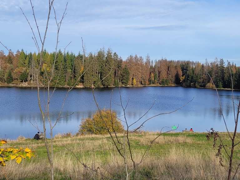 Badestelle Ziegenberger Teich / Buntenbock Wanderungen und Rundwege