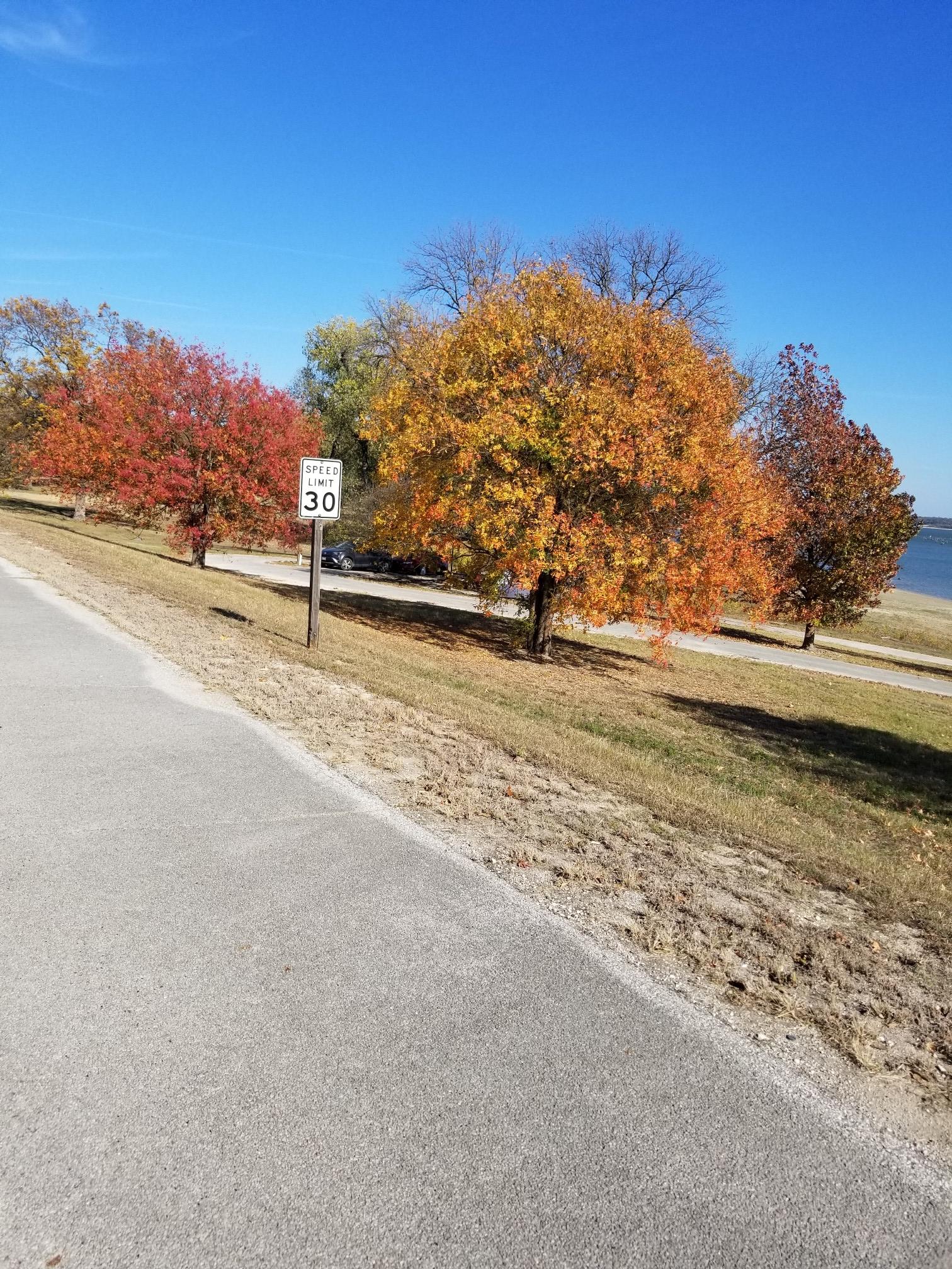 Paved path alongside a lake with vibrant autumn trees under a clear sky.