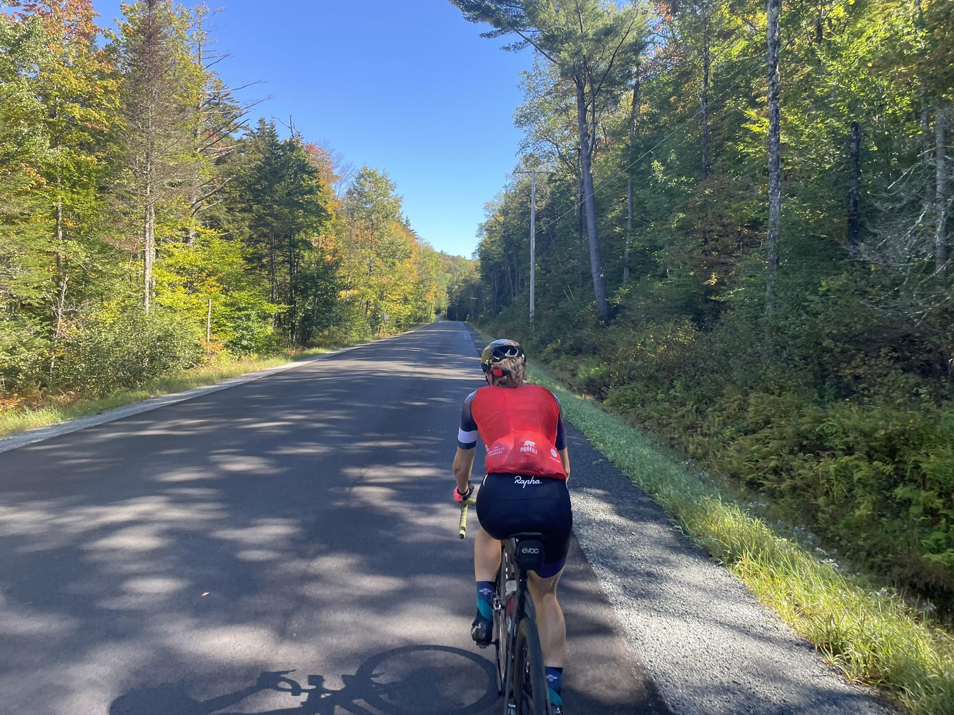 Cyclist in red jersey rides on a sunny road through a vibrant autumn forest.