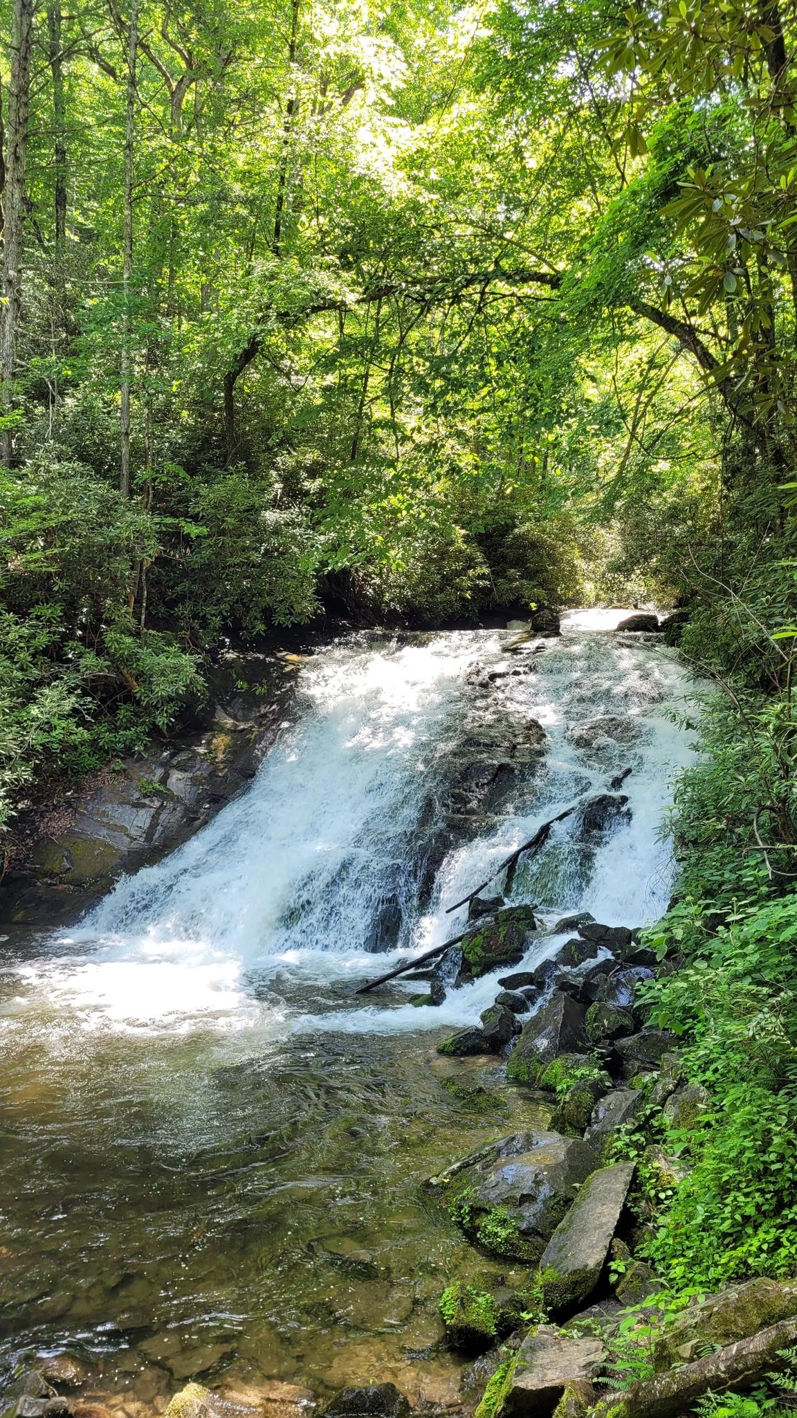 Waterfall cascading over rocks into a river, surrounded by dense green foliage.