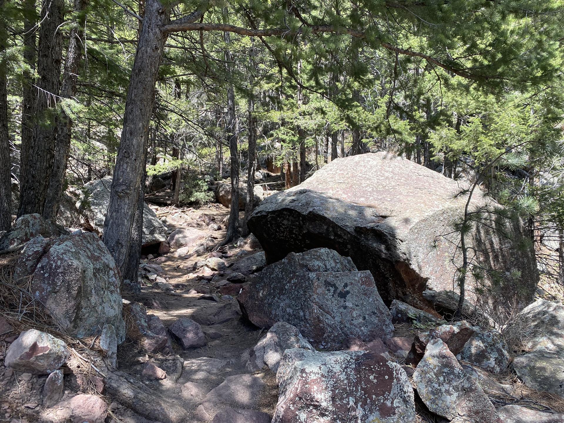 A rocky forest trail with large boulders and dappled sunlight filtering through trees.