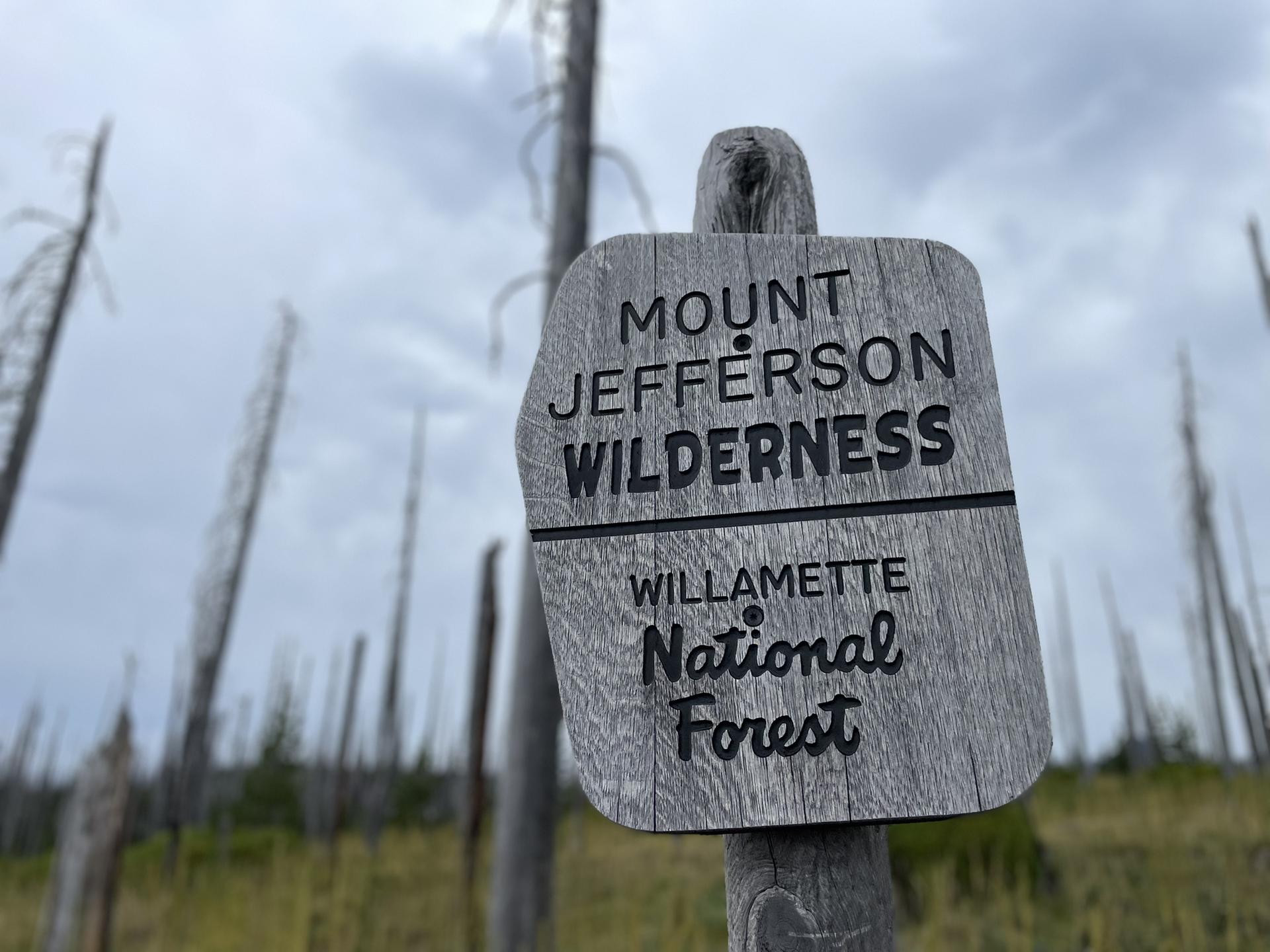 A weathered wooden sign on a post amidst a landscape of dead trees.