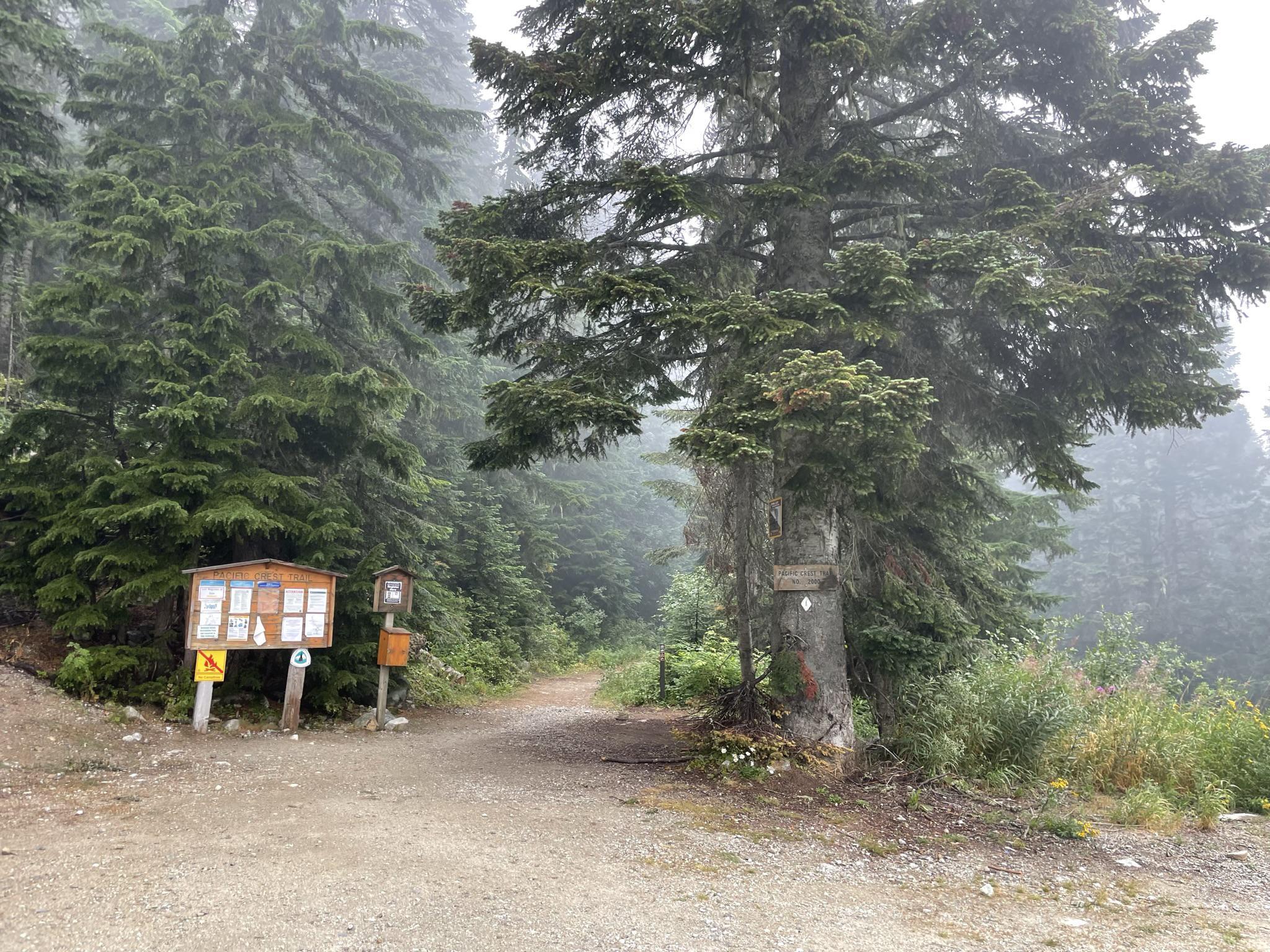 Misty forest trail entrance with information boards and tall evergreen trees.