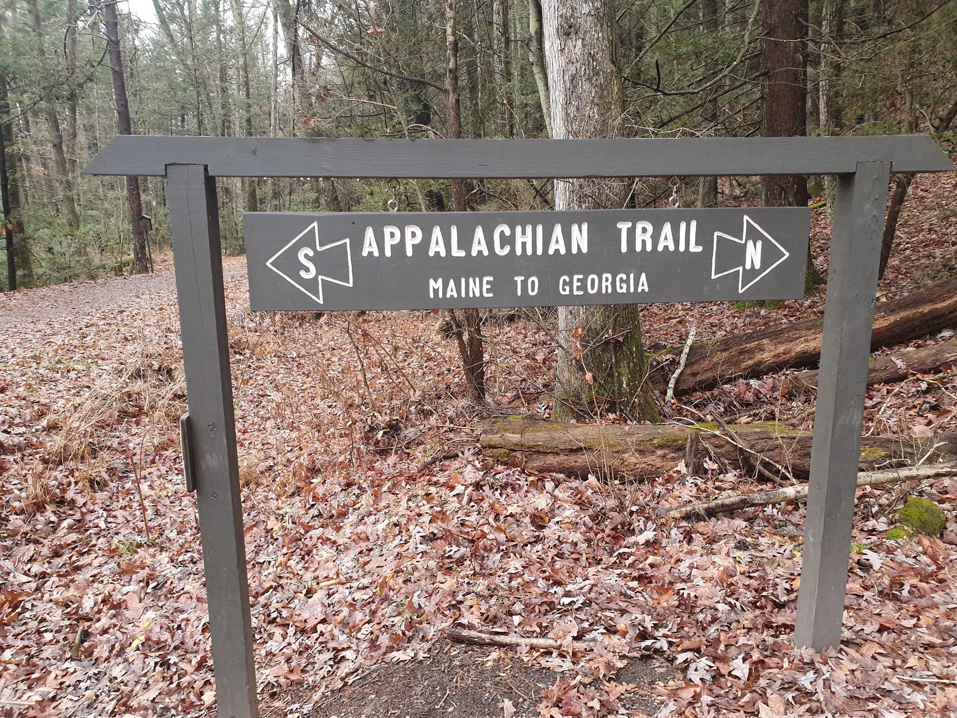 A wooden sign with arrows points directions on a leaf-covered forest path.