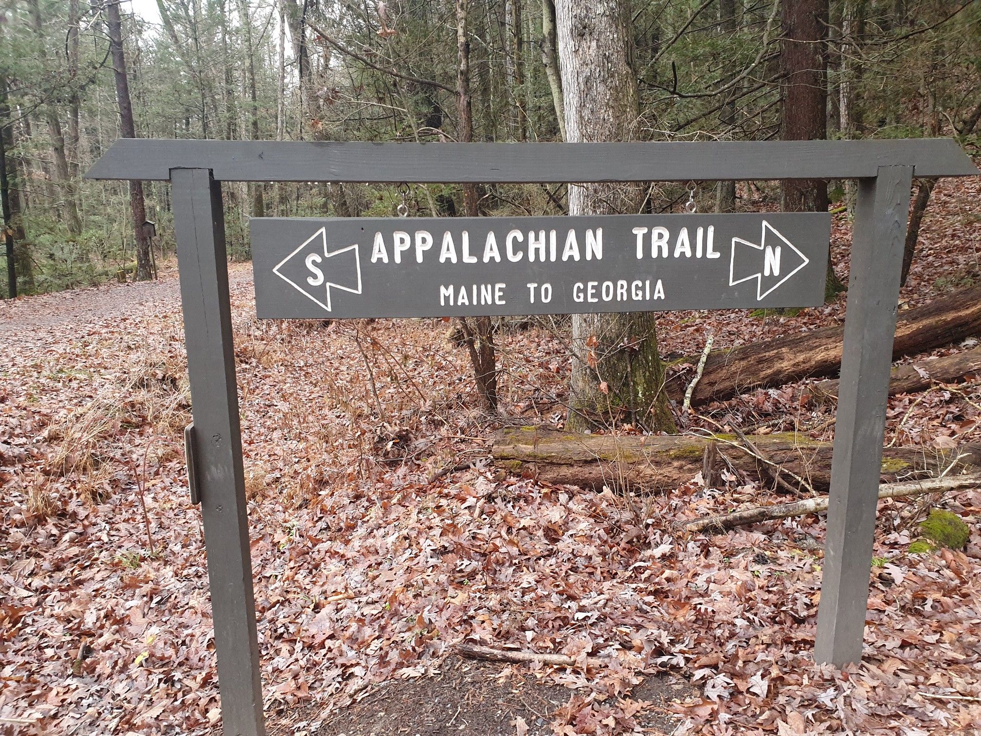 A wooden sign with arrows points directions on a leaf-covered forest path. - Appalachian Trail to Quarry Gap Hill