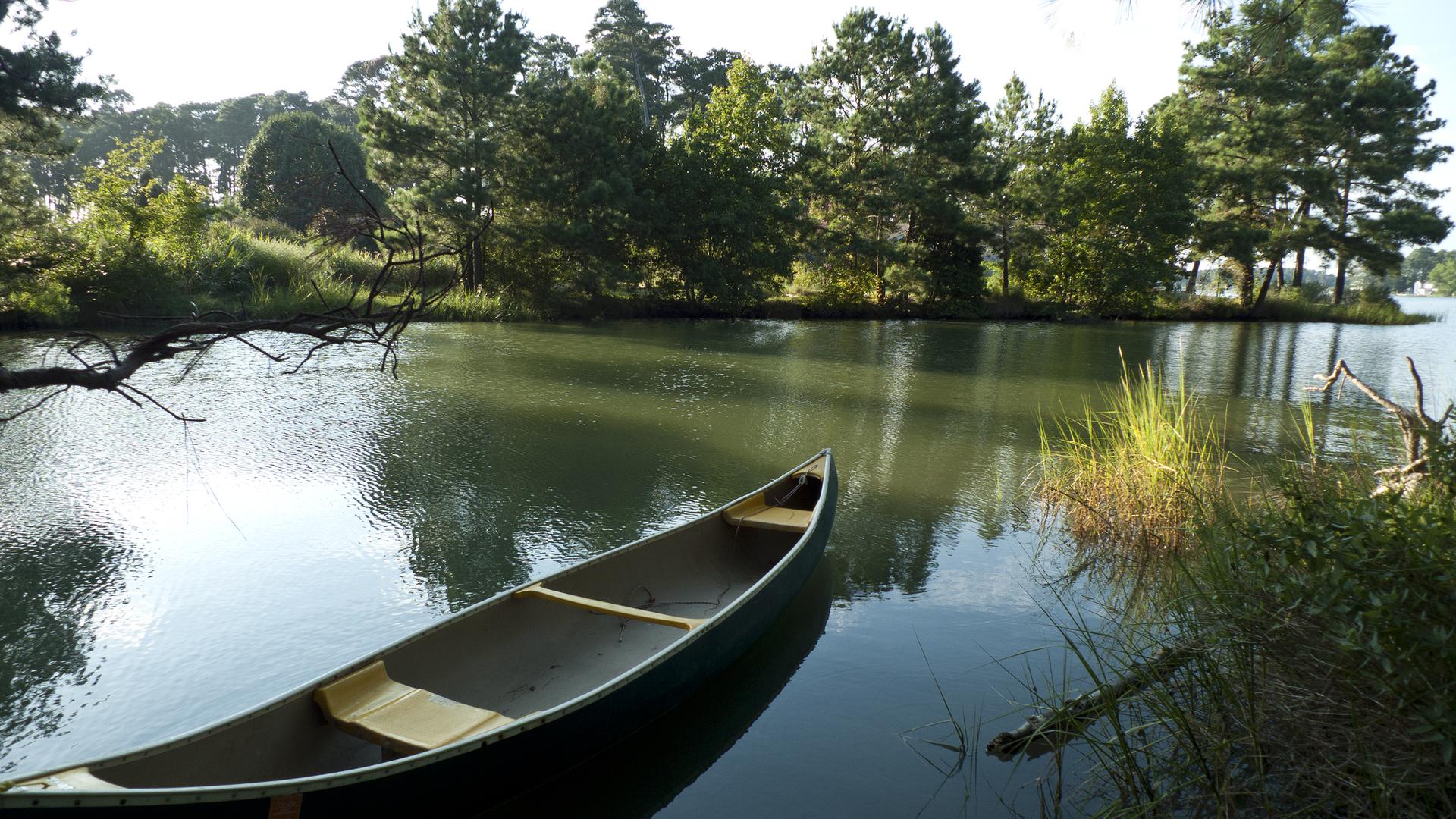 Sunlight illuminates a canoe on a peaceful river, with dense forest beyond.