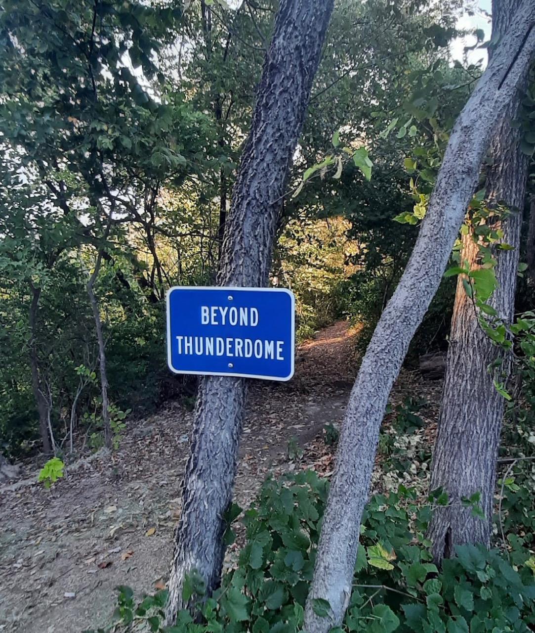 A blue sign reading "BEYOND THUNDERDOME" on a tree in a sunlit wooded area.