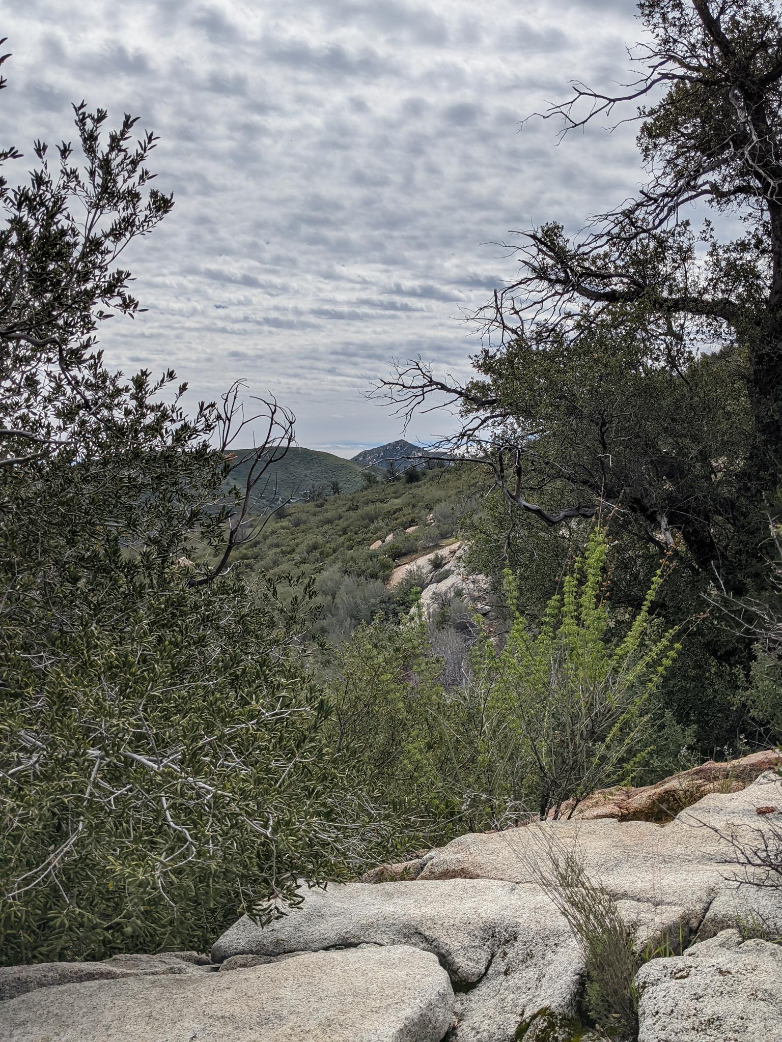 Overcast mountain view through trees and rocks on a cloudy day.