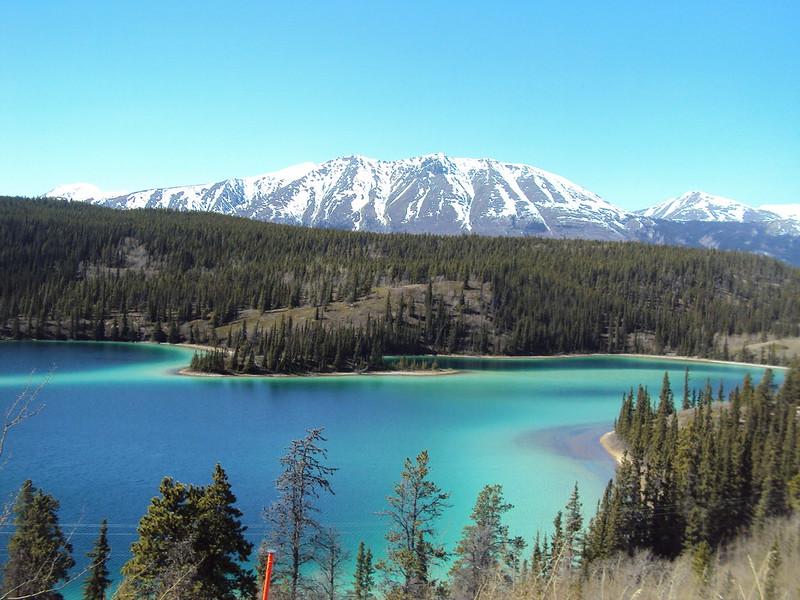 Bright turquoise lake surrounded by dense forest and snow-capped mountains under clear sky.
