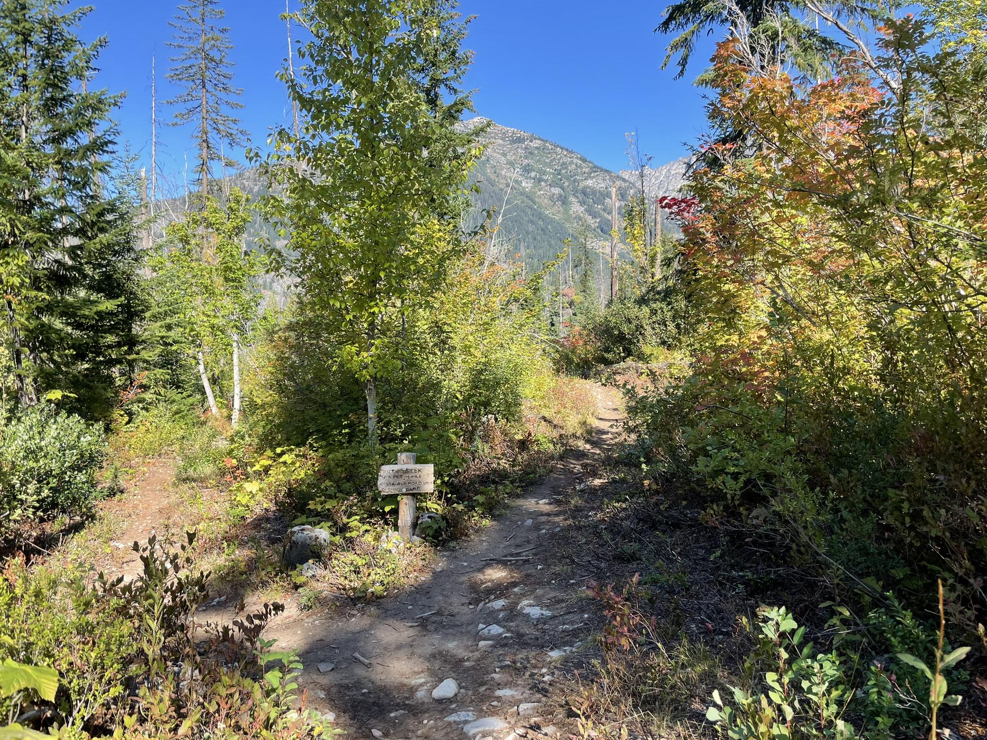 A sunny dirt trail with a small sign leads towards a distant mountain.