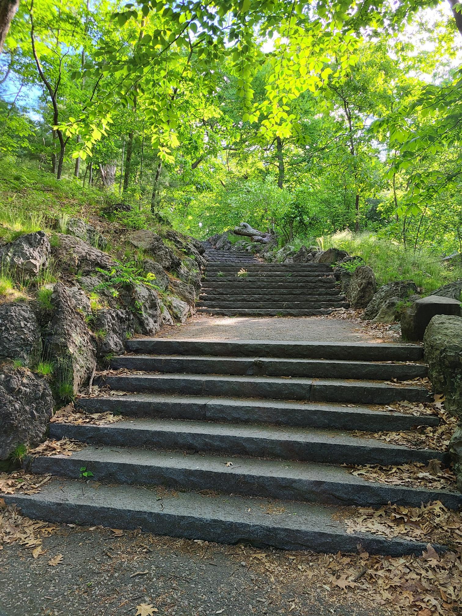 Sunny stone stairs ascending through a lush green, rocky forest.