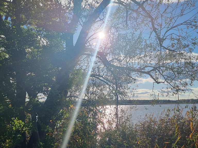 Eschefelder Teiche (Großer Teich) Wanderungen und Rundwege komoot