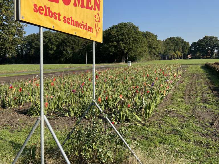 Blumenfeld Radtouren und Radwege komoot