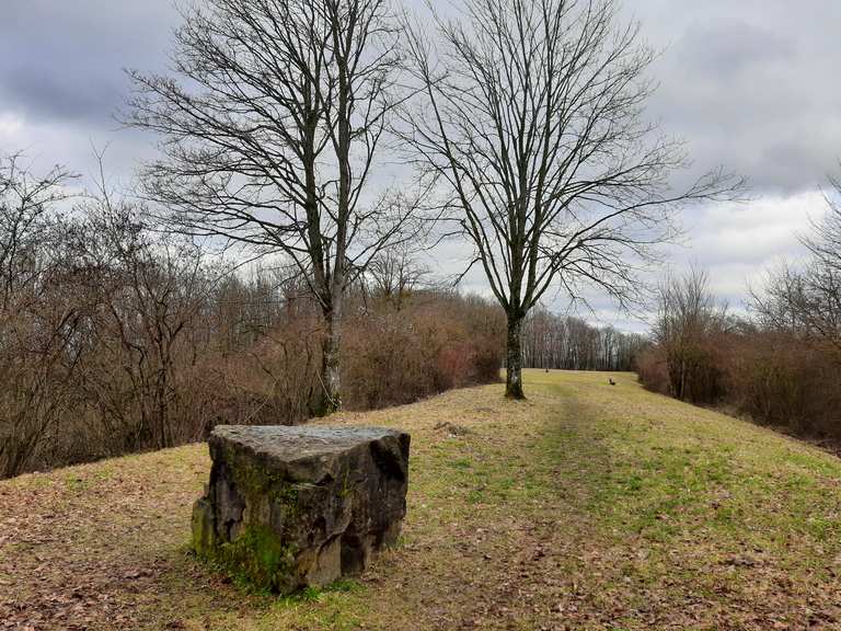 bernhartsh-he-wanderungen-und-rundwege-komoot