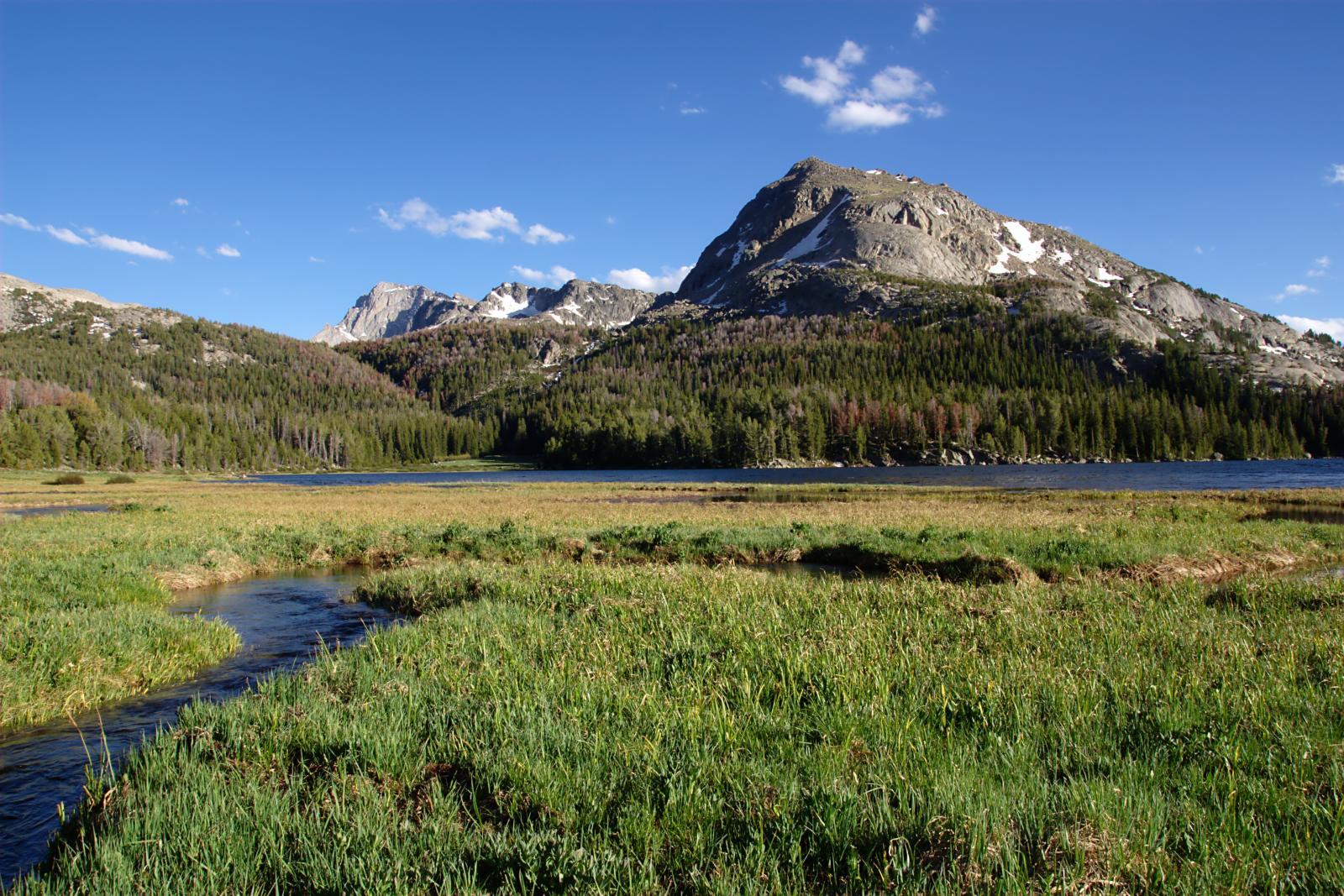 A winding stream flows through a lush meadow towards a lake and mountains.