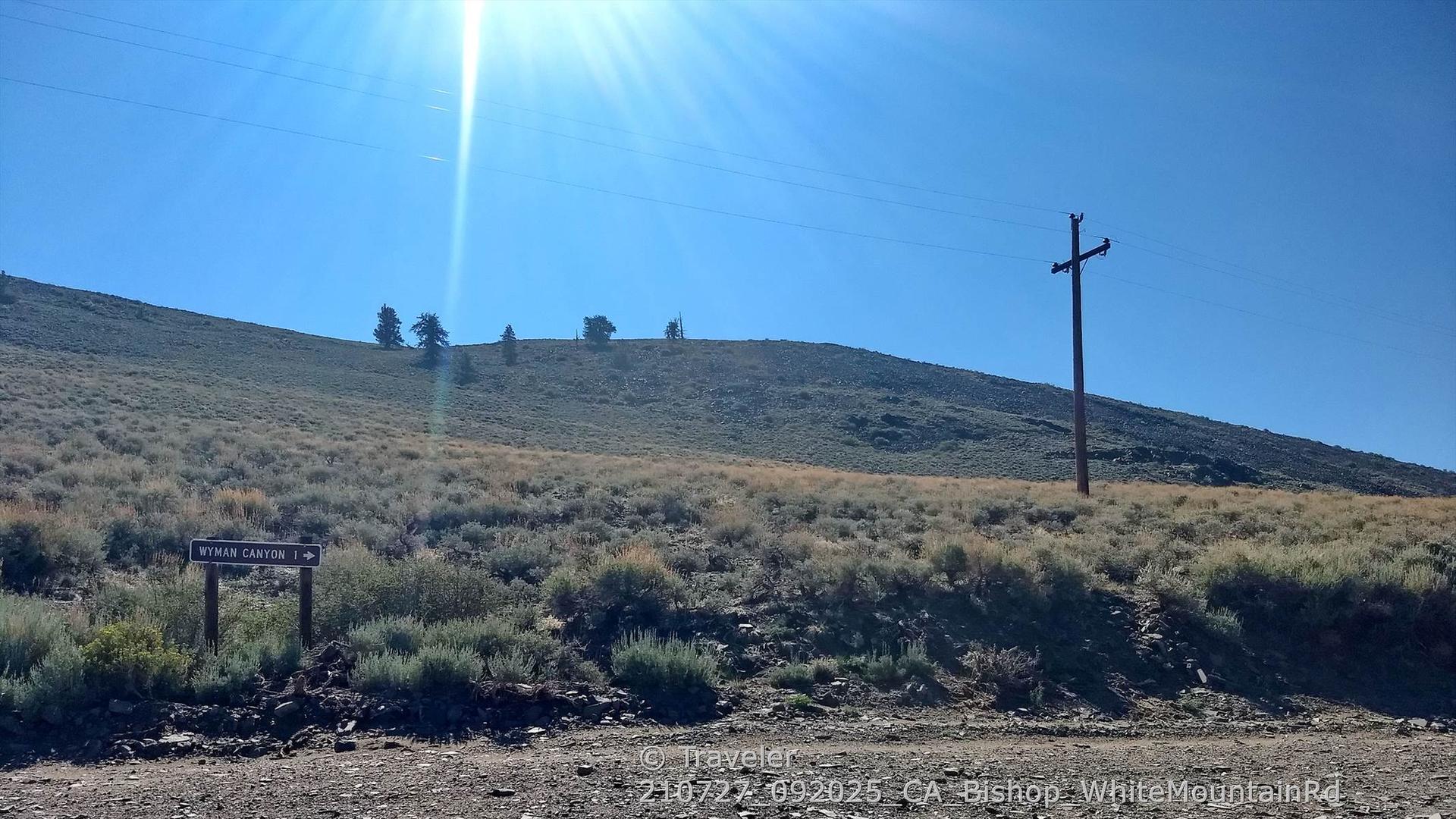 Sunny hillside with a dirt road, wooden sign, and utility pole.