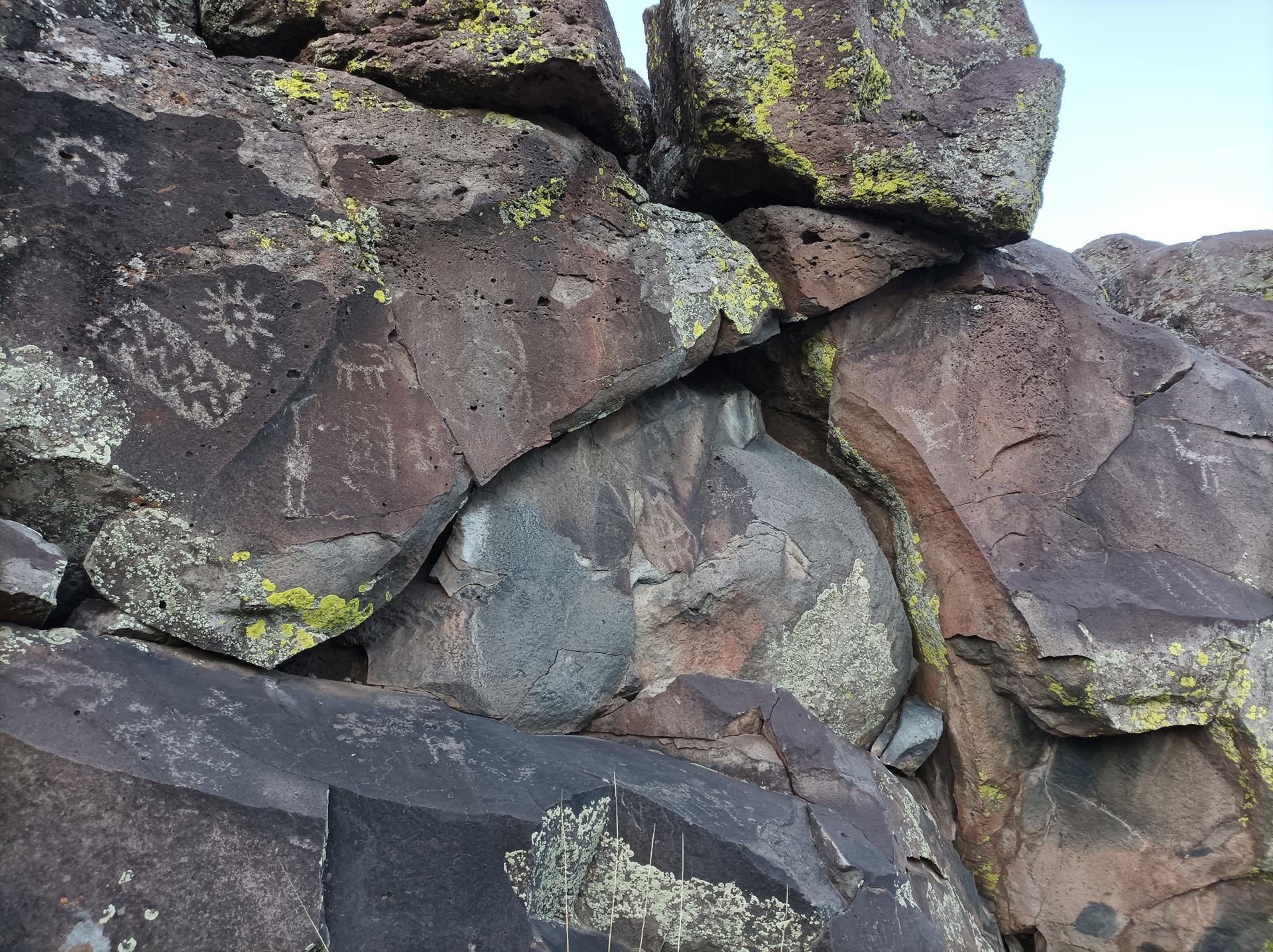 Close-up of dark rocks covered in lichen with ancient petroglyphs.